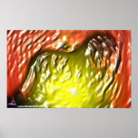 DreamXyZ.com - Savannah posters