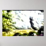 DreamXyZ.com - Scenery posters