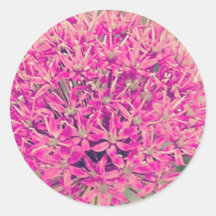 Dreamy Alliums Round Sticker