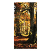 Dreamy Autumn Woodland Personalized Photo Card