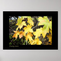 Dreamy Leaves Print