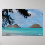 Dreamy Ocean posters