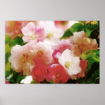 Dreamy Spring Blossoms Water Colour Poster posters