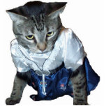 Dress kitty cat shaped magnet/ornament/keychain photo sculptures
