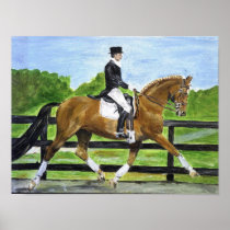 Dressage Horse Portrait II Print