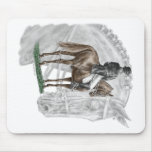 Dressage Horse X-Halt Salute FEI Mousepad