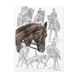 Dressage Horses in Collected Trot Canter postcards