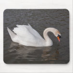 Dribbling Mute Swan Mousepad