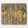 Dried Corn Stalk Decorations Mousepad