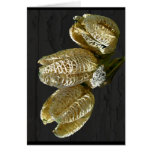 Dried Lily Seed Pods Greeting Card