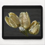 Dried Lily Seed Pods Mousepad