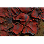 Dried paint photo sculptures