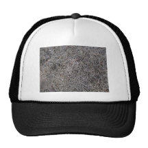Dried Pine Leaves Background Pattern Hat