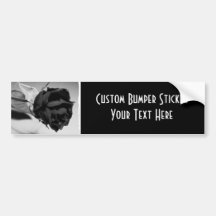 Dried Rose Photograph - Black & White Bumper Sticker