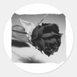 Dried Rose Photograph - Black & White Round Stickers
