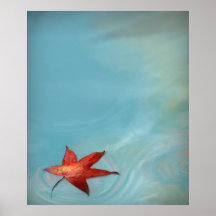 Drifting Leaf Posters