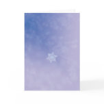 Drifting Snows cards