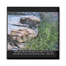 Driftwood and Zola Quote