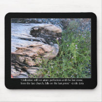Driftwood and Zola Quote