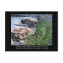 Driftwood and Zola Quote Postcards