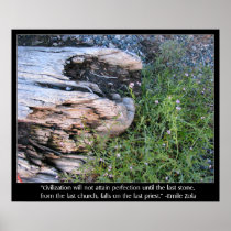Driftwood and Zola Quote