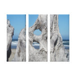 Driftwood Canvas Photography prints Coastal canvas prints