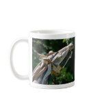 DriftWood Horse Head Mug