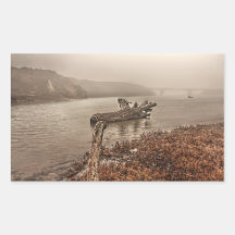 Driftwood in the Water Sticker