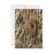 Driftwood Personalised Invite