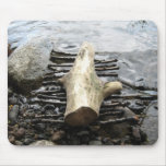 Driftwood