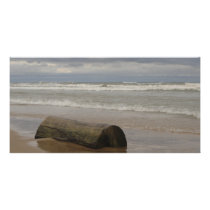 Driftwood Personalized Photo Card