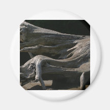 Driftwood Stump Magnet