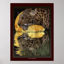 DRINKING LEOPARD at SUNSET Art Poster posters