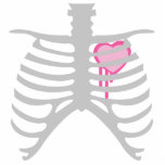 Dripping Heart in Ribcage photo sculptures