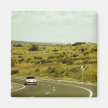 Driving Magnet