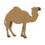 Dromedary embroidered shirts