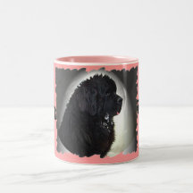 Drool Rules Newf Mug