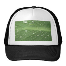 Drop by Drop Trucker Hats