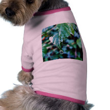 Drop Of Rain Doggie T Shirt
