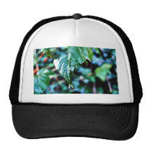 Drop Of Rain Mesh Hat