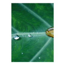 Drop of rain on a green leaf custom invite