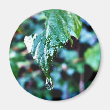 Drop Of Rain Refrigerator Magnets