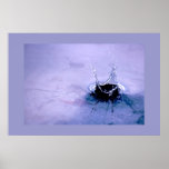 Drop posters