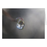 Droplet Greeting Cards