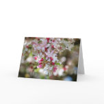 droplet of beauty blank card
