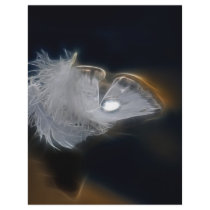 Droplet of water on a white feather flyers
