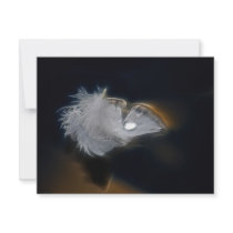Droplet of water on a white feather custom announcements