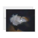 Droplet of water on a white feather invitations