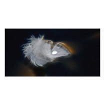 Droplet of water on a white feather photo greeting card