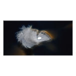 Droplet of water on a white feather photo cards